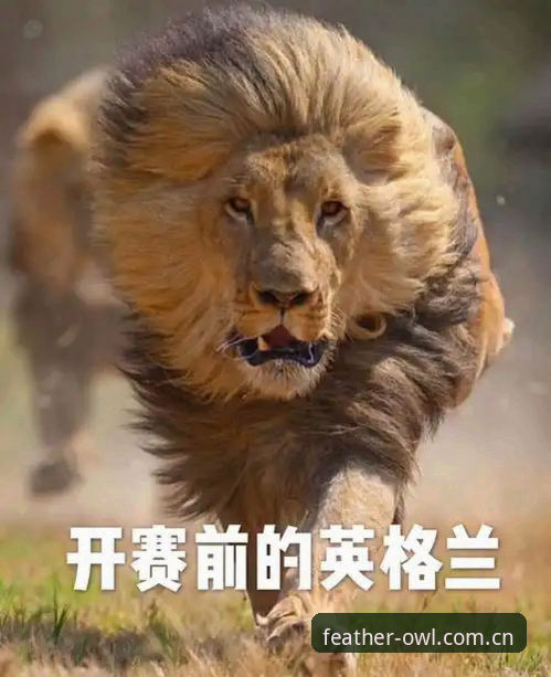把手机看球这件事搞明白，比费劲研究那些动不动就卡成PPT的野鸡直播间有用得多。刚看到一个数据，有点意思：2024年国内体育赛事直播App的次留率平均只有38%，但猫头鹰体育直接装的口碑用户里，李铭这样的老哥能连续用满63天不删。别急着问“怎么下载猫头鹰体育直接装到手机”，先搞清楚你需要的到底是个能看的画面，还是一个真能顶住比赛日高峰的工具。