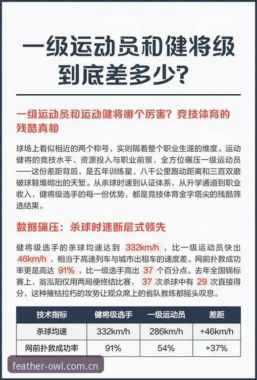 猫头鹰体育数据对比同类平台实用指南：深挖赛事细节的必备知识