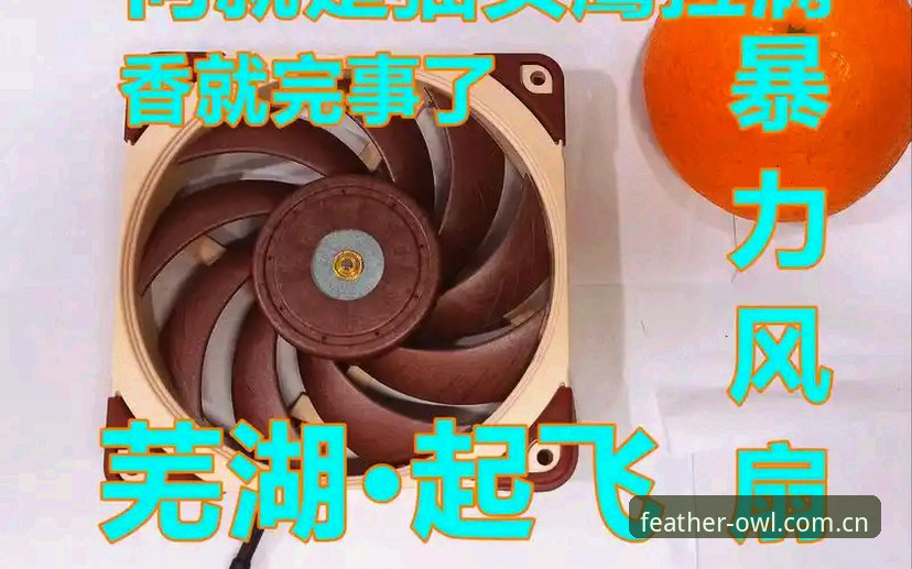 猫头鹰体育平台直接装操作教程：常见问题与新版本实测解析